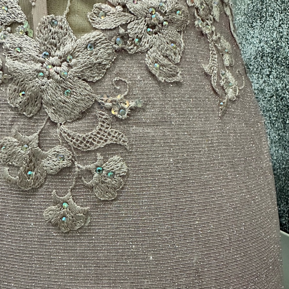 2x$70- Elegant Blush Lace Appliqué Evening Gown - Picture 4 of 6
